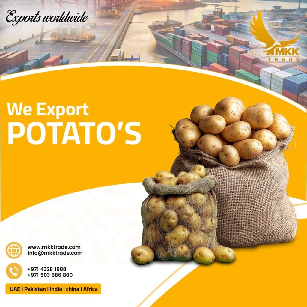 Potato Exporter in UAE