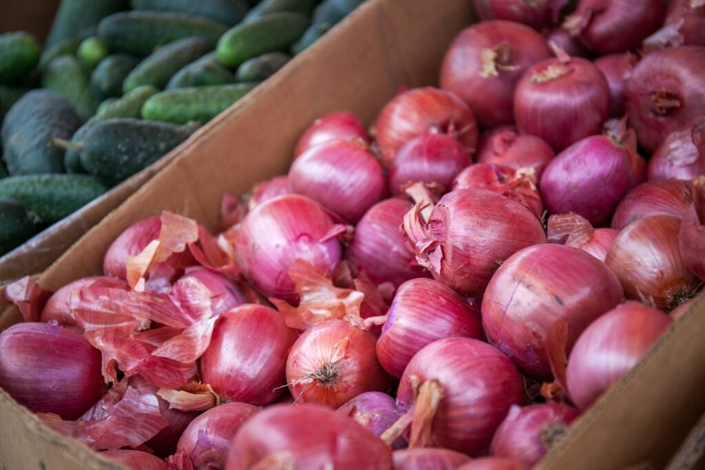 Onion Exporter in India